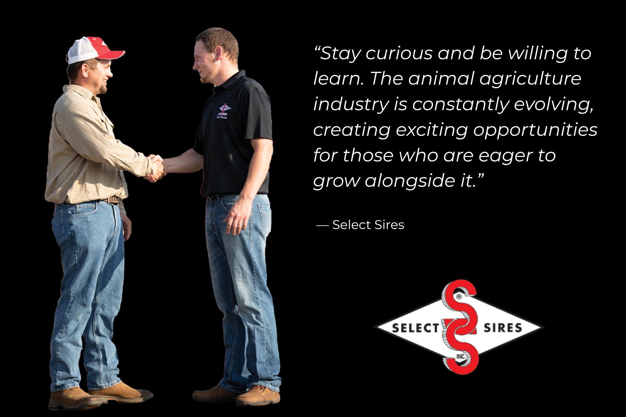 Select Sires quote