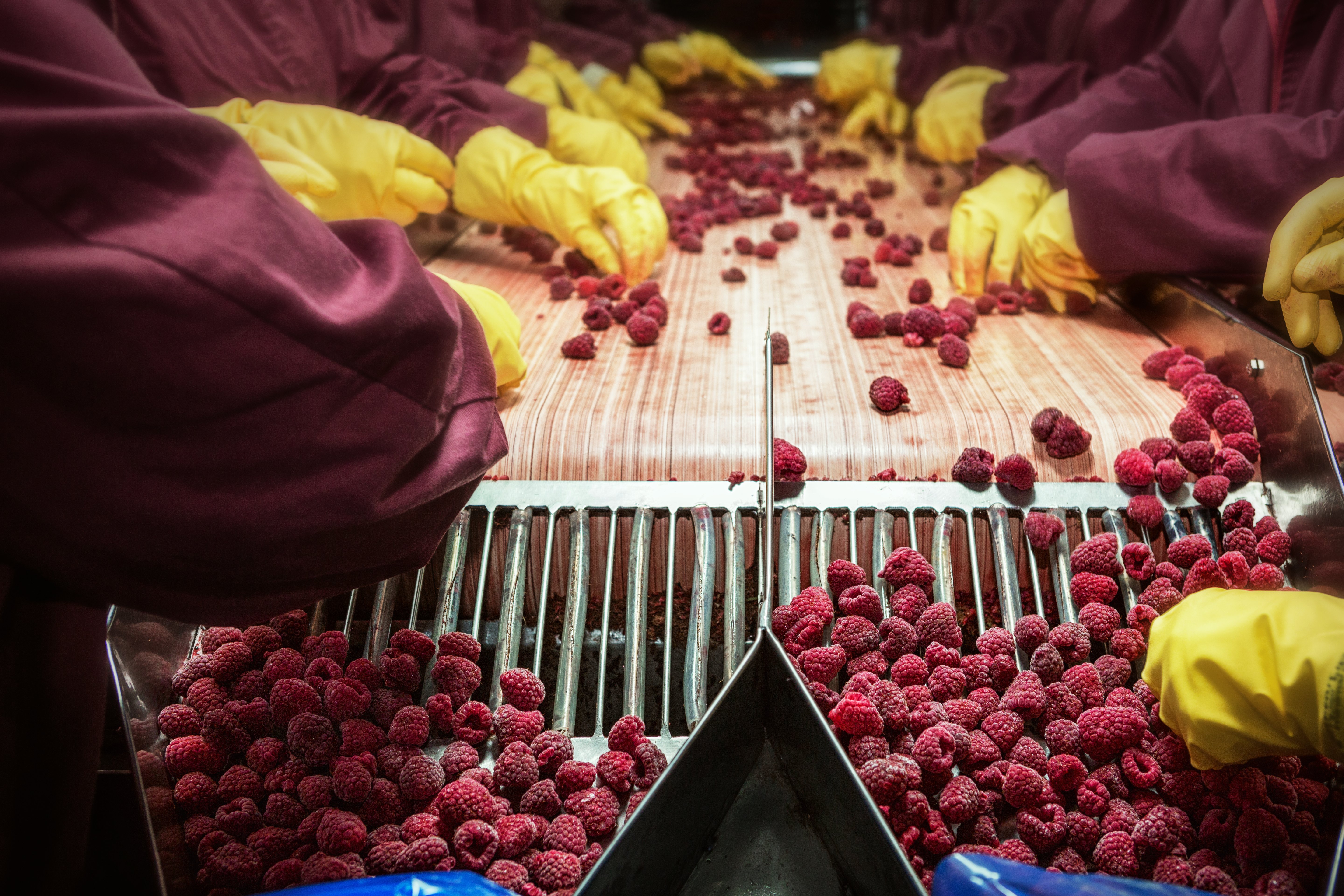 food production hiring