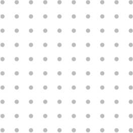profesional-dot04